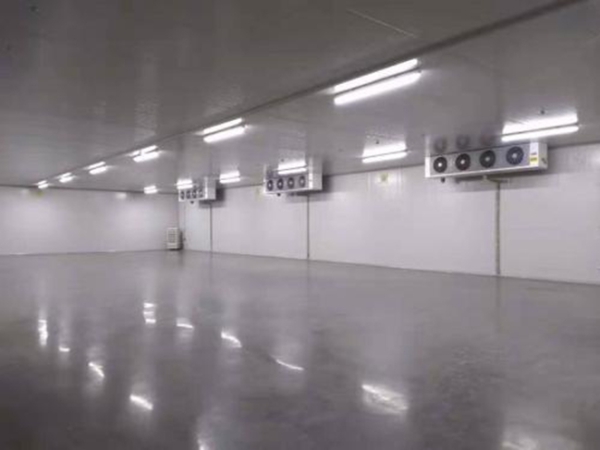 建設1500㎡食品速凍低溫庫優勢及應用有哪些？